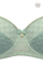 #color_green clover gold