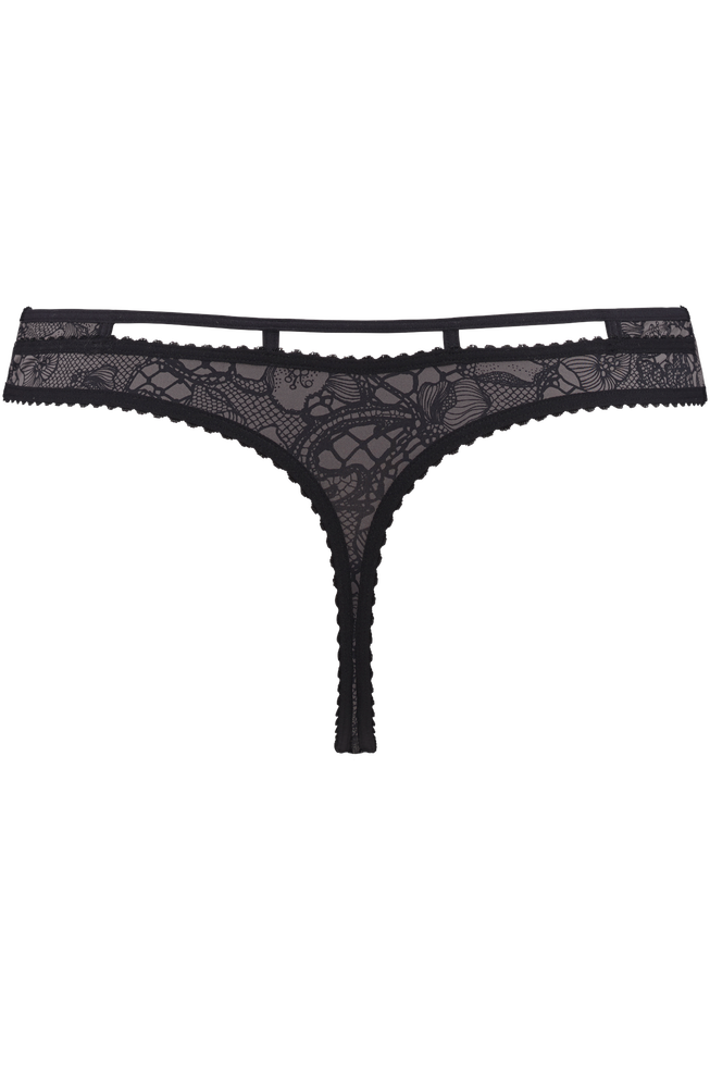 lioness of brittany 4 cm thong