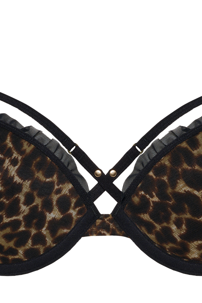 vixenpush up bra | leopard print