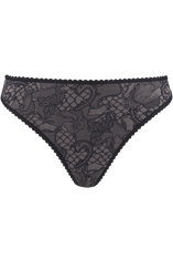 lioness-of-brittany-4-cm-thong