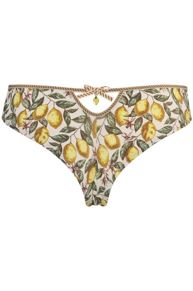 mambo butterfly briefs