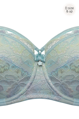 mariposa-push-up-bra