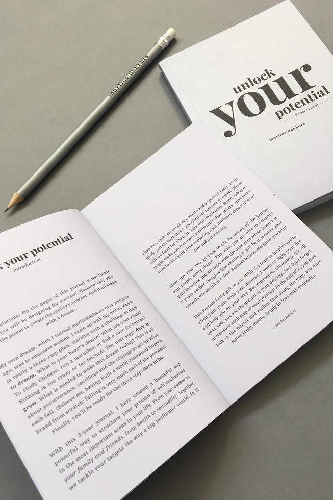 unlock your potential: 3-year journal (Russian)