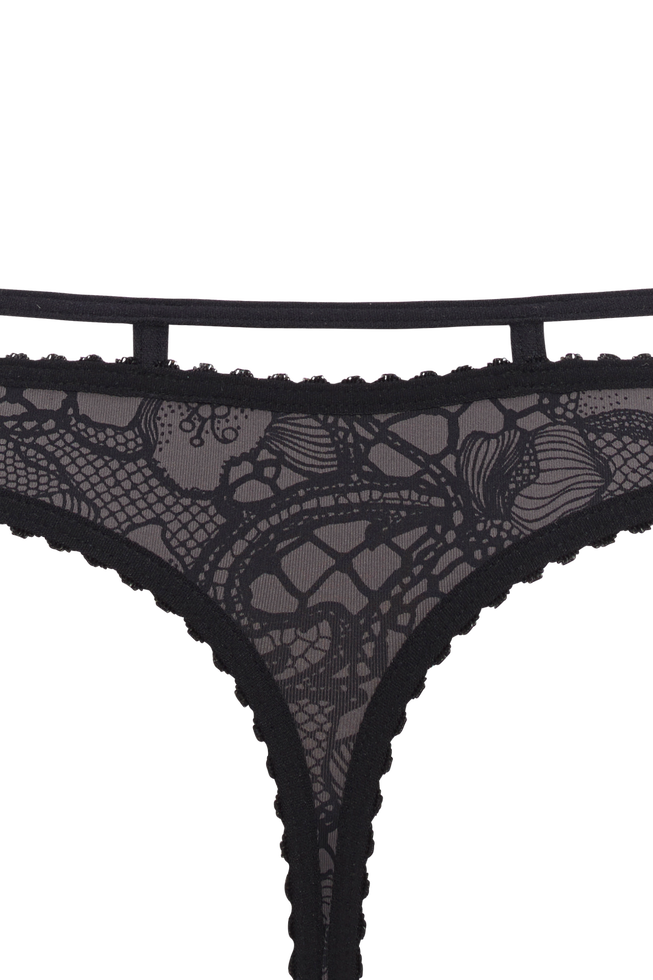 lioness of brittany 4 cm thong