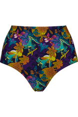 acapulco highwaist bikini briefs