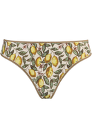 mambo butterfly briefs