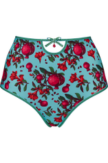 forbidden fruit highwaist briefs