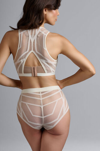 the illusionist highwaist briefs