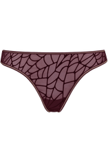 the adventuress 4 cm thong