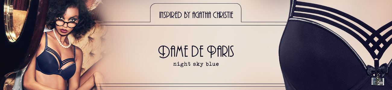 FW20 collection Dame de Paris night sky blue header banner