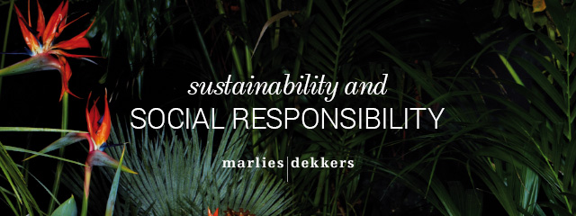 sustainability and social responsibility header banner