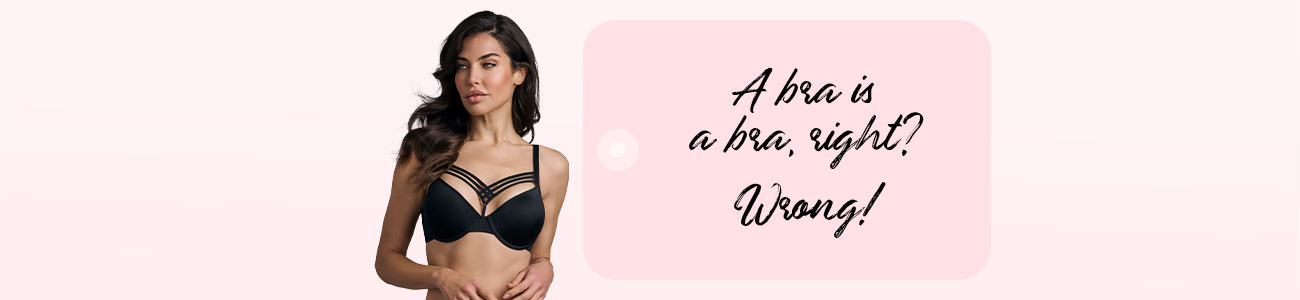 header banner desktop unpadded bras