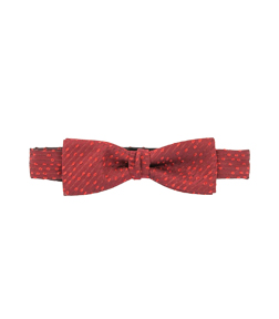 Signature Dame de Paris bow