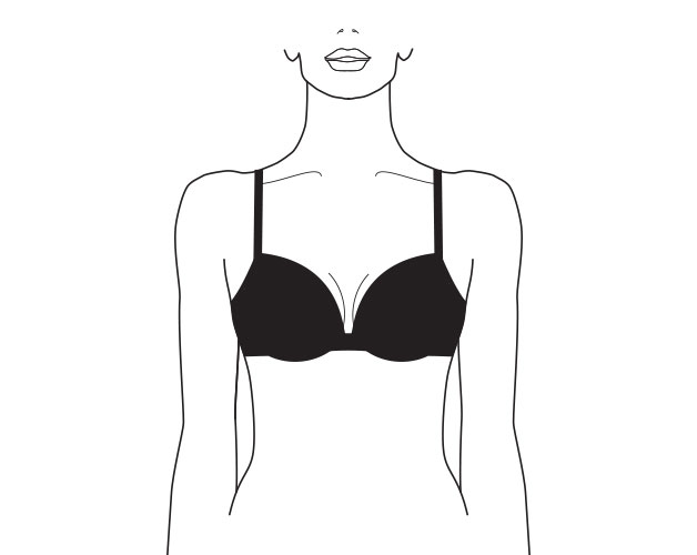 what is a plunge bra