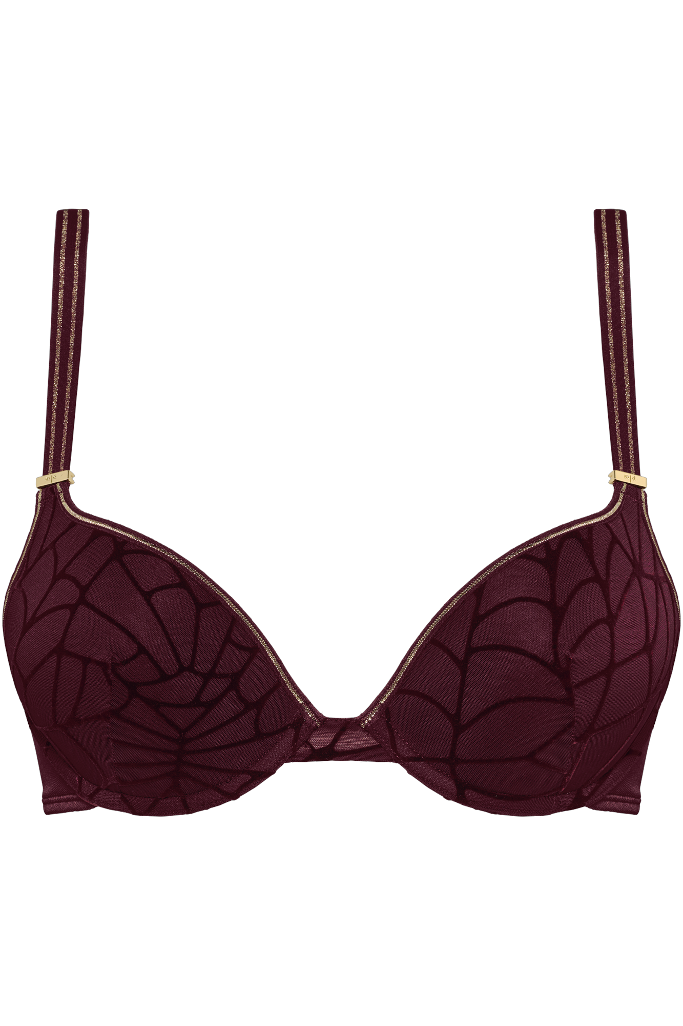 the adventuress push up bra