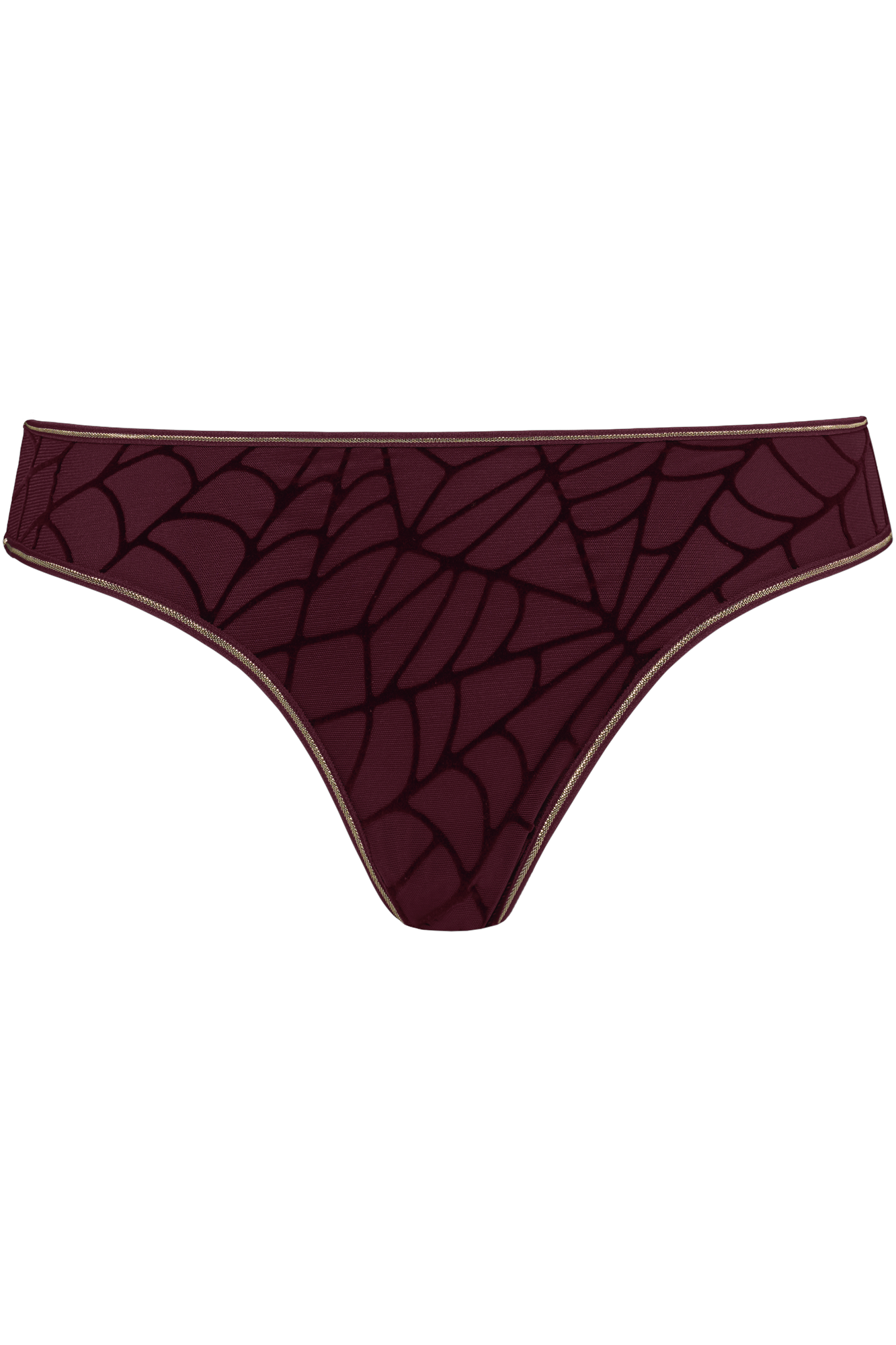 the adventuress 5 cm briefs